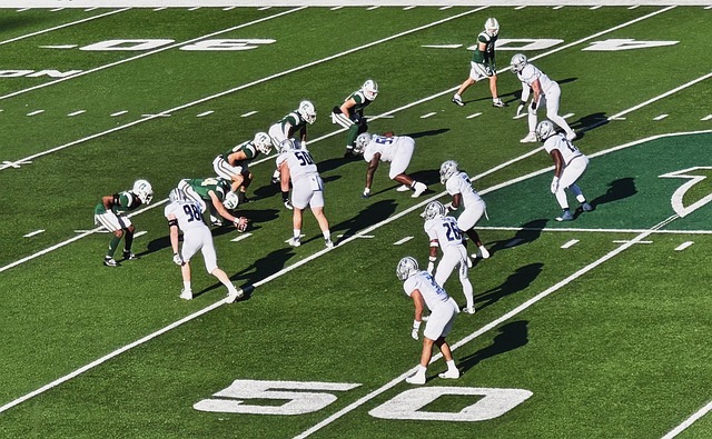 样则体现出 样则体现出