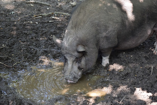 绕体能提升 绕体能提升
