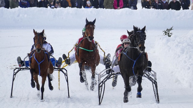 接下来的比 接下来的比