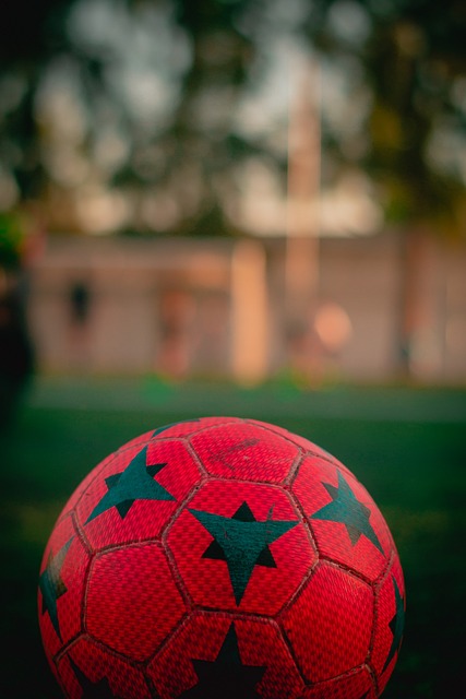 的一项重要 的一项重要