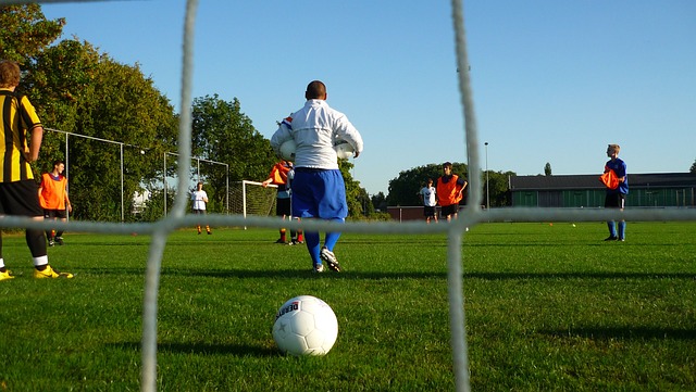 的双重挑战 的双重挑战