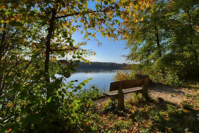 技术和敏锐 技术和敏锐