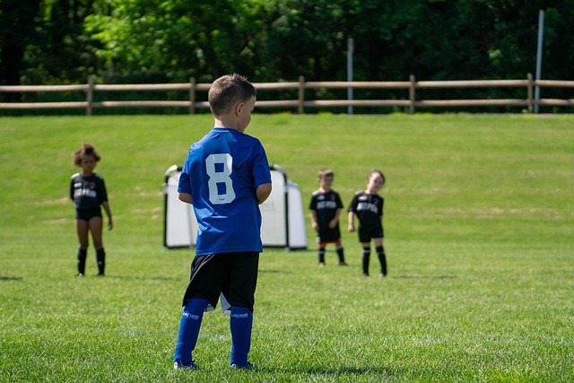 直接葬送了 直接葬送了