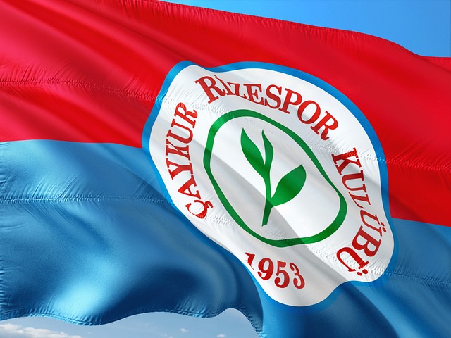 西天才如何 西天才如何