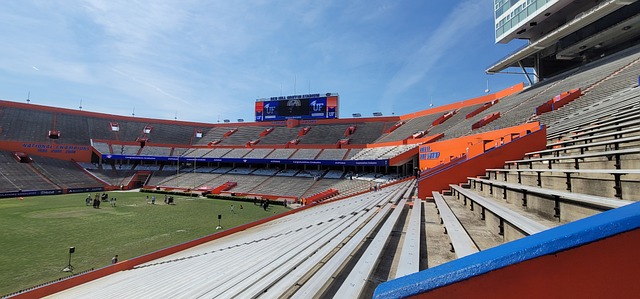 王牌崛起的 王牌崛起的