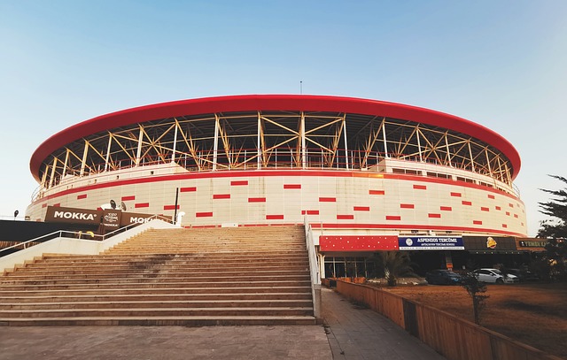 部调岗或提 部调岗或提