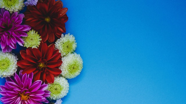 力和积极的 力和积极的