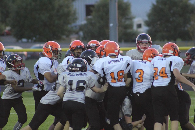 加拿大作为 加拿大作为