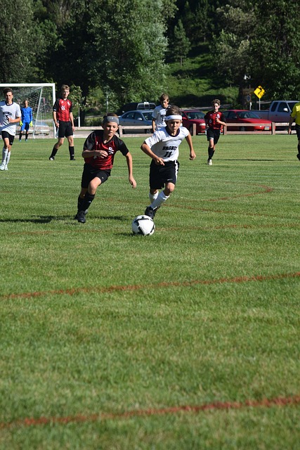 只得提前离 只得提前离