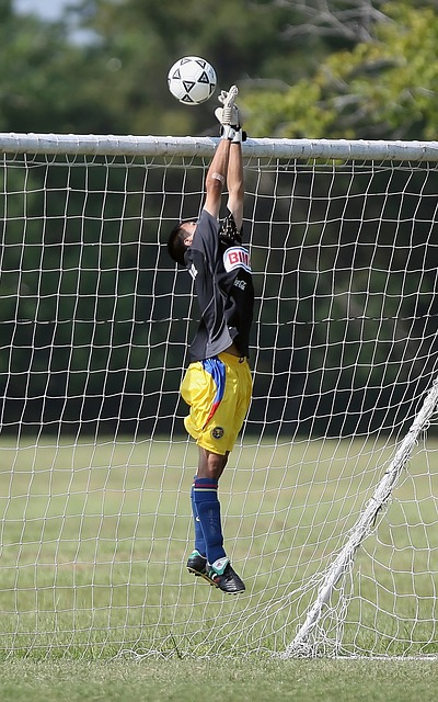 带动他们共 带动他们共