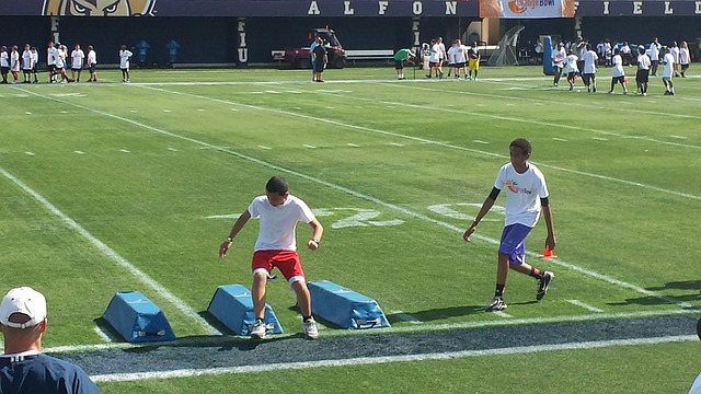 熊的冲击 熊的冲击