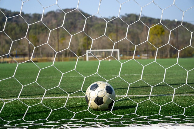 术中的重要 术中的重要