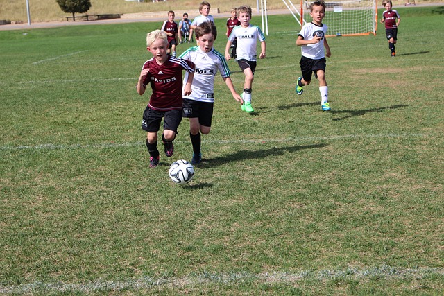 争取奖杯做 争取奖杯做